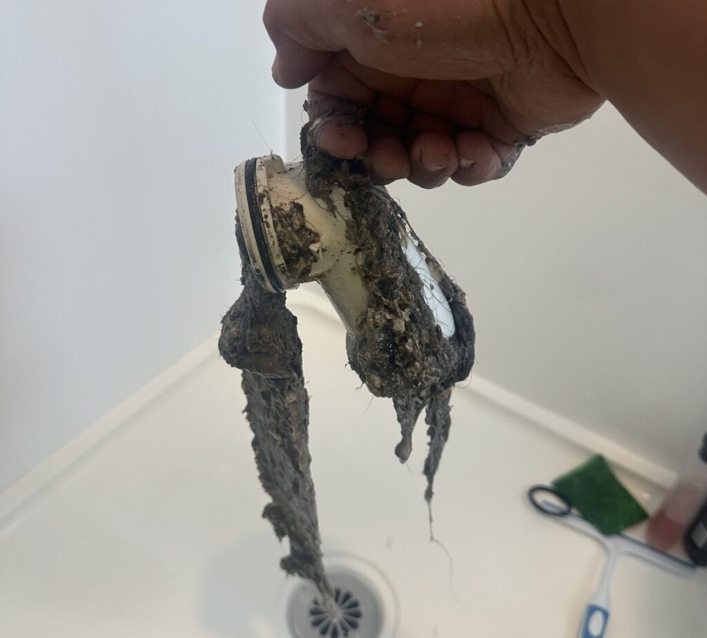 Drain Unblocking