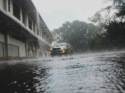 Heavy Rain in Auckland